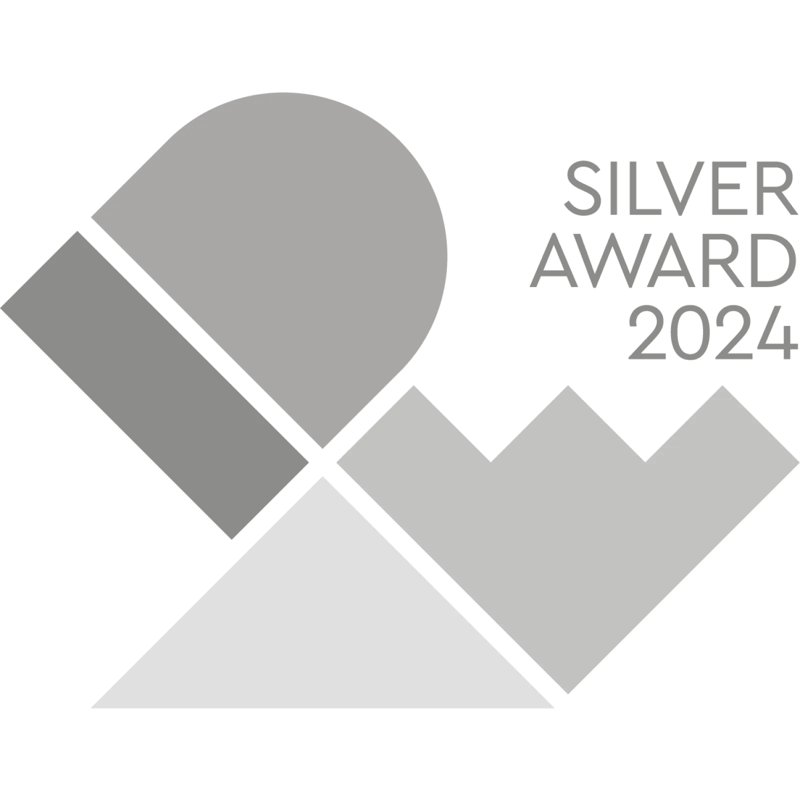 SILVER Award 2024 logo
